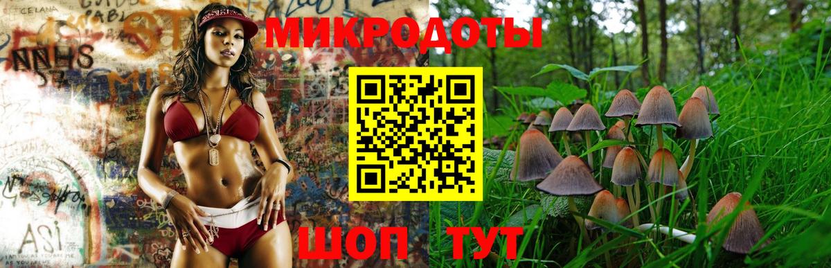 Кызыл  Галлюциногенные грибы прущие грибы  Вход с VPN 