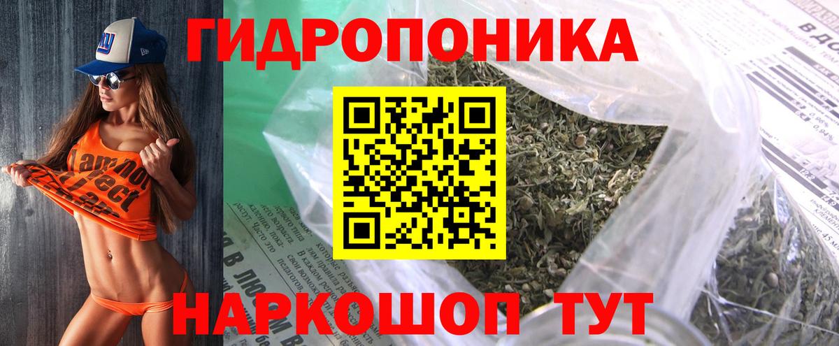 Каннабис план Кызыл